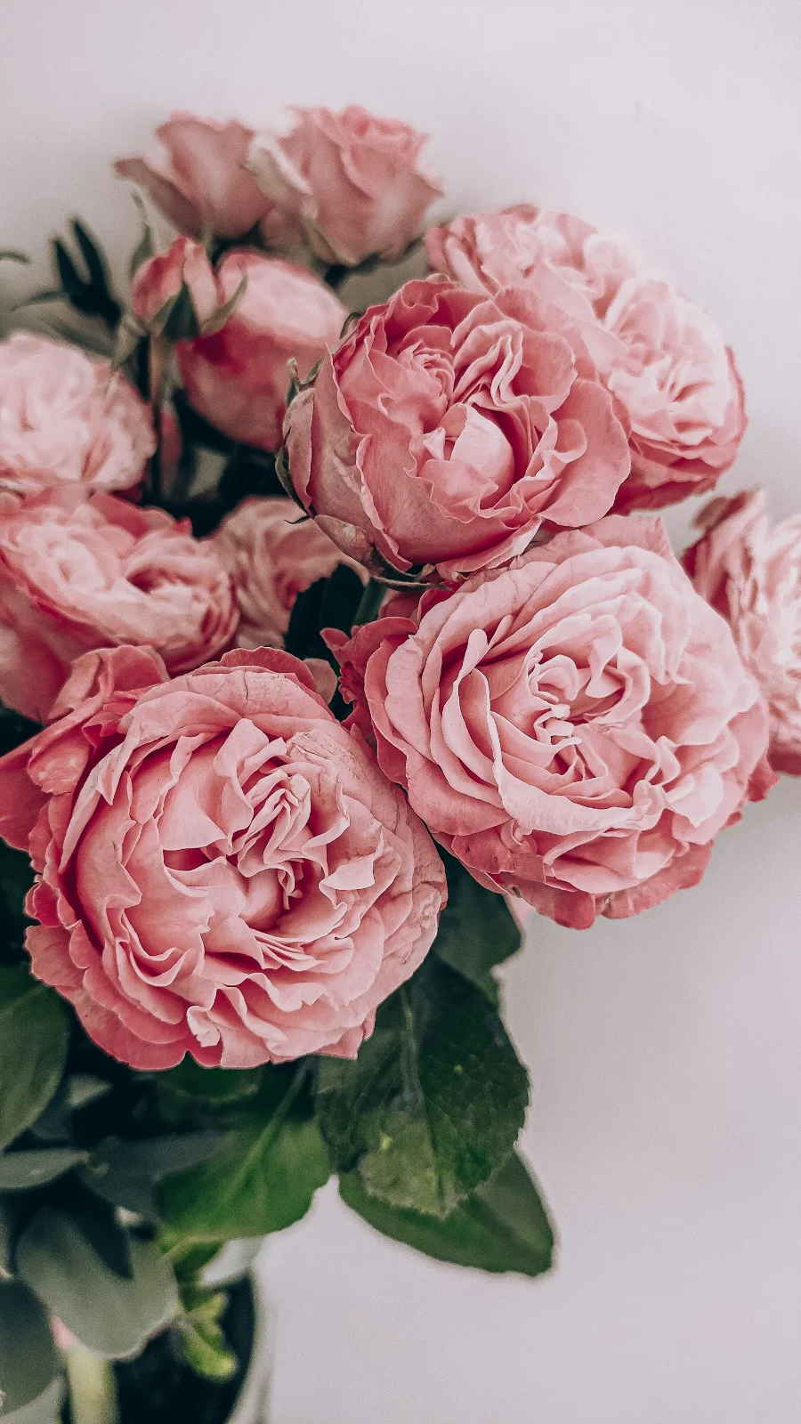 Royal Pink Boutique