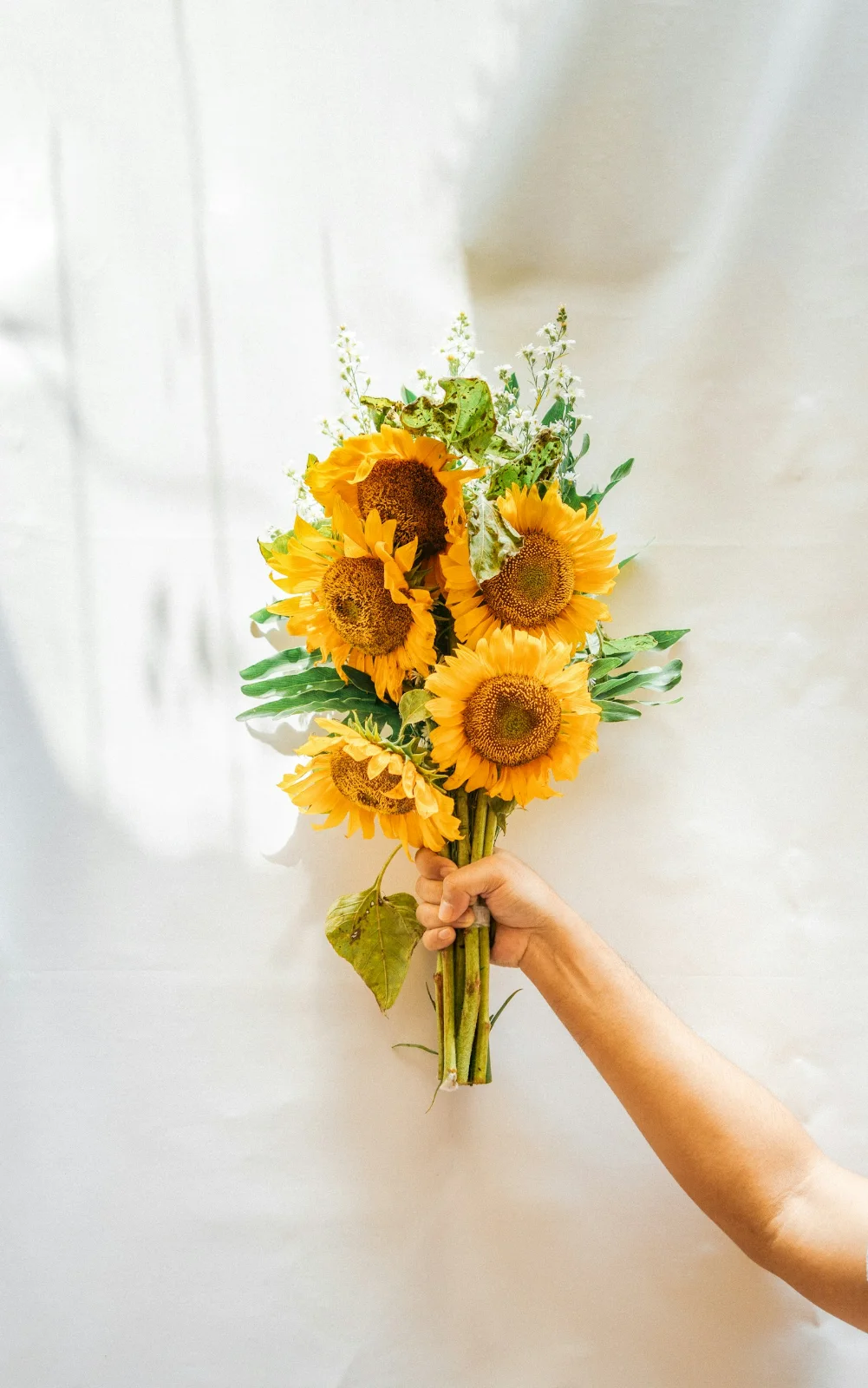 Sunshine Sunflowers